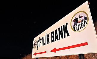 Çiftlik Bank'ın 'finans müdürü' tutuklandı