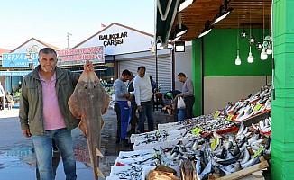 Balıkçılar çarşısına yoğun ilgi