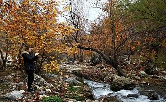 Doğu Akdeniz'de sonbahar renkleri