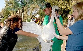 Kuğulu Park'ın sakinlerine sağlık taraması