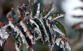 Meteorolojiden 5 il için buzlanma ve don uyarısı