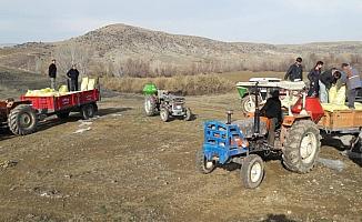 Yozgat'ta mera ıslah çalışması yapıldı