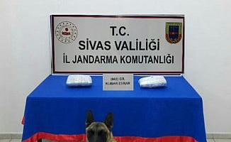 Sivas'ta kaçakçılıkla mücadele