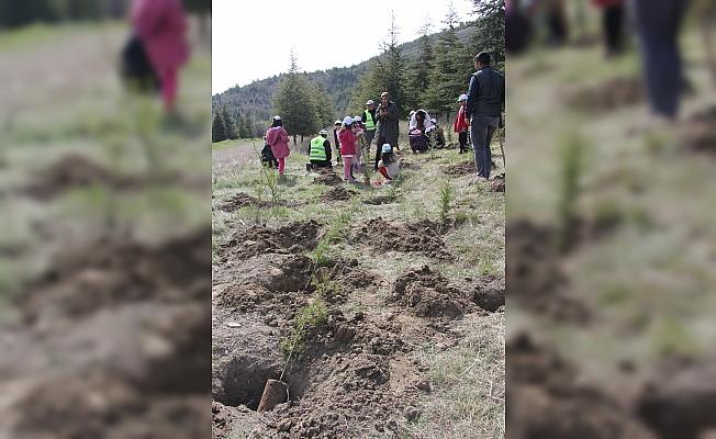 Dünya Ormancılık Haftası'nda öğrenciler fidan dikti