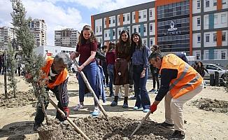 Gazi Üniversitesi Tıp Fakültesinden hatıra ormanı