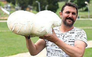 7 kilo 125 gramlık dev mantar bulundu