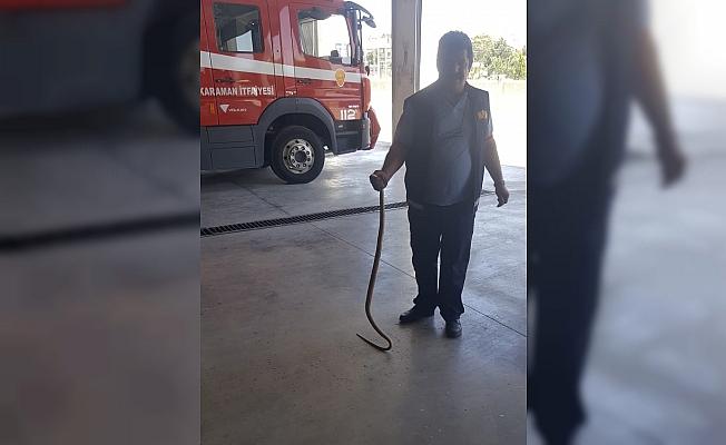 Otomobilin tekerine giren yılan, itfaiye çalışanının elini soktu