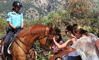 Atlı jandarmalar sahillerde göreve başladı