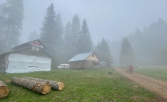 Batı Karadeniz yaylaları kademeli normalleşme süreciyle şenlendi