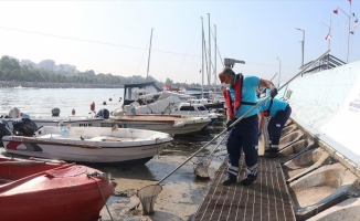 İstanbul'da müsilaj temizleme çalışmaları devam ediyor