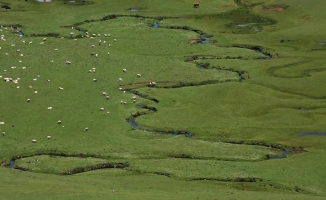 Karadeniz'in menderesleriyle ünlü Perşembe Yaylası doğaseverleri ağırlıyor