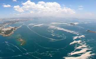 Marmara Denizi'ndeki müsilaj uçakla havadan görüntülendi