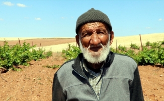 Bağında yetiştirdiği üzümleri satmak yerine köylülere ikram ediyor