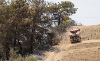 Manavgat'ta rüzgarın etkisiyle çalışmalar güçlükle ilerliyor