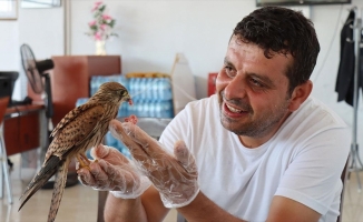 Atmaca yavrusu ile lokantacının dostluğu görenleri şaşırtıyor