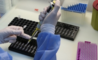 Koronavirüs varyantları güncel PCR testlerinden kaçamıyor