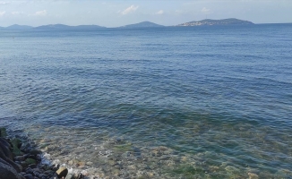 Marmara Denizi'nde yeni tehlike 'oksijen azlığı'