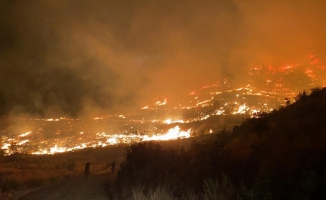 Muğla'da çıkan orman yangınına müdahale ediliyor