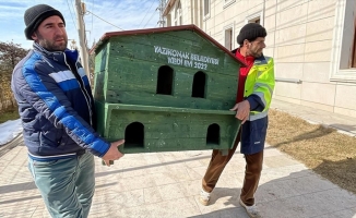 Atık paletlerden yapılan evler 'can dostlara' yuva oldu