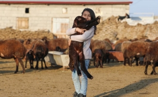 'Doğu'nun Çukurovası' yeni doğan kuzu ve oğlaklarla şenleniyor