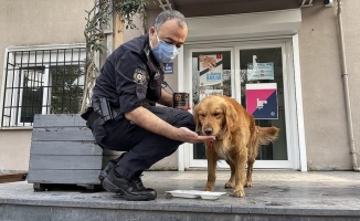 Kar yağışında sığındığı karakol yeni yuvası oldu