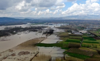 Efteni Kuş Cenneti Gölü havzası eriyen karla suya doydu