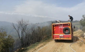 Muğla'da çıkan orman yangını söndürüldü