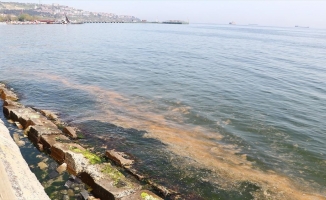 Tekirdağ'da planktonların çoğalmasıyla deniz suyunun yer yer rengi değişti