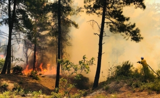 Hatay'da Amanos Dağları eteklerinde orman yangını çıktı