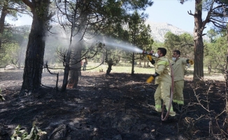 Adana'da çıkan orman yangını kontrol altına alındı