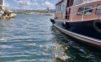 Haliç'te kıyıya vuran çöplerin oluşturduğu kirlilik çevredekileri rahatsız etti