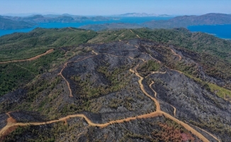 Marmaris'te yanan alanlar havadan görüntülendi