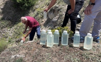 Bolu'nun Yuva köyünde su kaynaklarında temizlik çalışmaları sürüyor