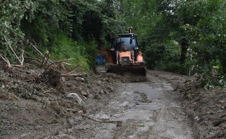 Ordu'da şiddetli yağışın yol açtığı hasarlar gideriliyor