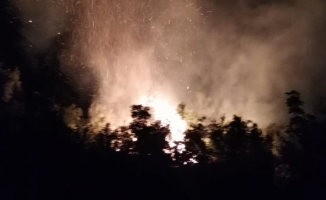 Hatay'da ormanlık alanda çıkan yangına müdahale ediliyor