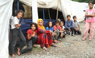 Ordu'da mevsimlik tarım işçileri fındık hasadını bekliyor